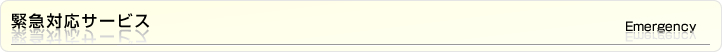 緊急対応サービス